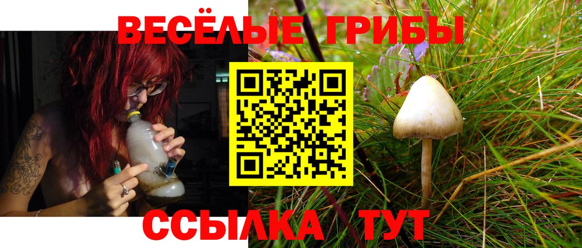 Псилоцибиновые грибы Magic Shrooms Вятские Поляны