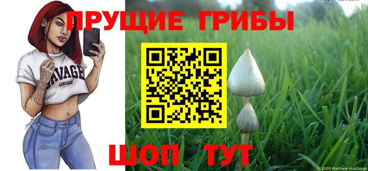 Вятские Поляны  Псилоцибиновые грибы GOLDEN TEACHER  Вход с VPN  Псилоцибиновые грибы мухоморы 